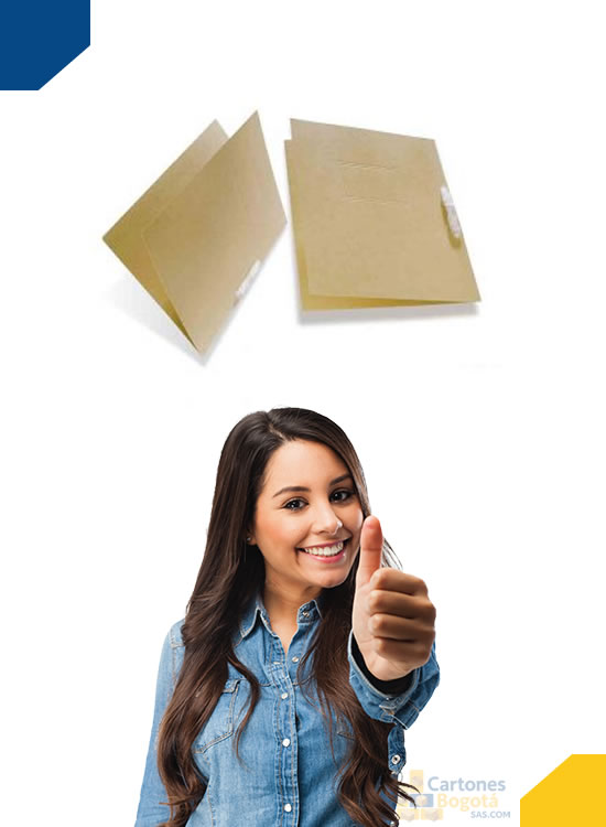 venta y fabricacion Carpetas para archivo